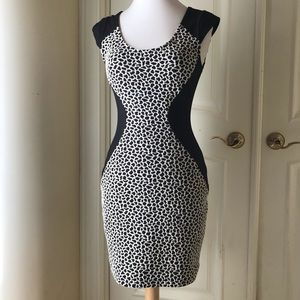 Y2K Express black & white knit dress